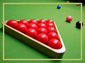 Snooker szakág vezetősége és feladatkörök